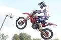 _ROB3831 (Copy)